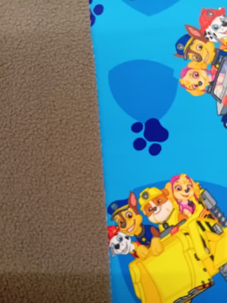 20260901_132001 Softshell - Meterware - Kinder - Paw Patrol - blau